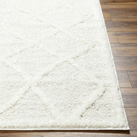 Surya Rodos Rdo-2301 Rug 6'7" X 9'