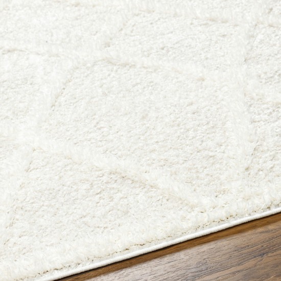 Surya Rodos Rdo-2301 Rug 6'7" X 9'