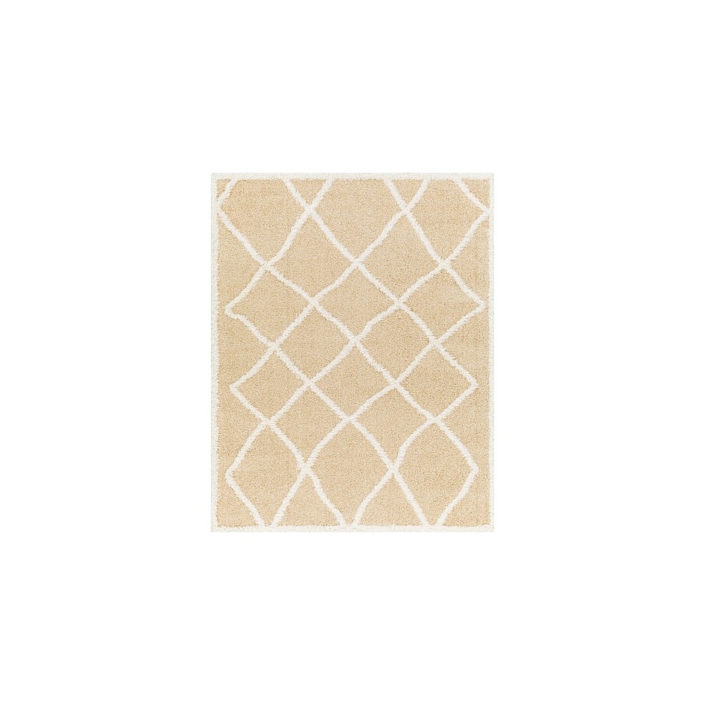 Surya Rodos Rdo-2302 Rug 7'10" X 10' Surya Rodos Rdo-2302 Rug 7'10" X 10'