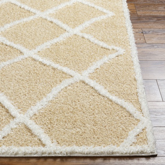 Surya Rodos Rdo-2302 Rug 7'10" X 10'