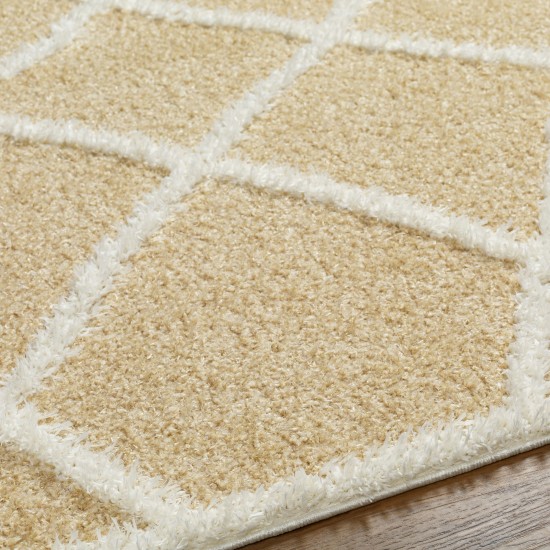 Surya Rodos Rdo-2302 Rug 7'10" X 10'