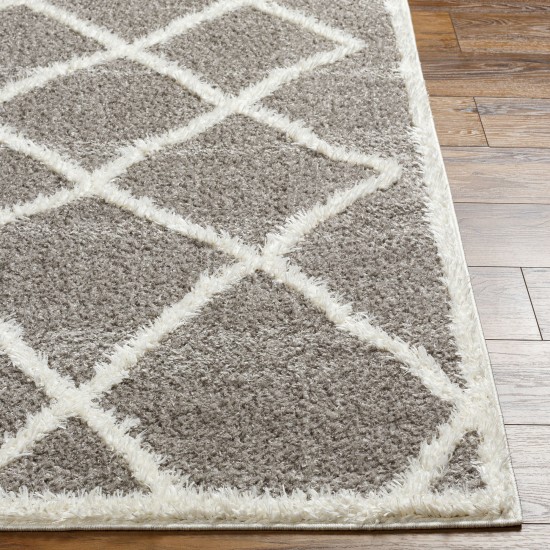 Surya Rodos Rdo-2303 Rug 5'3" X 7'