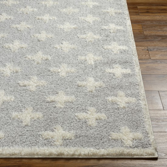 Surya Rodos Rdo-2306 Rug 7'10" X 10'