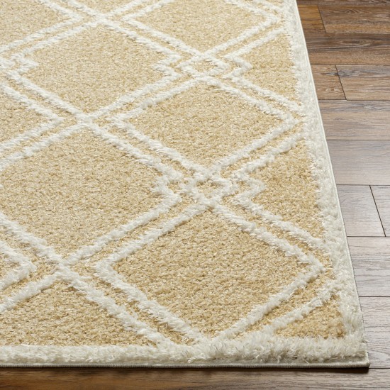 Surya Rodos Rdo-2314 Rug 5'3" X 7'