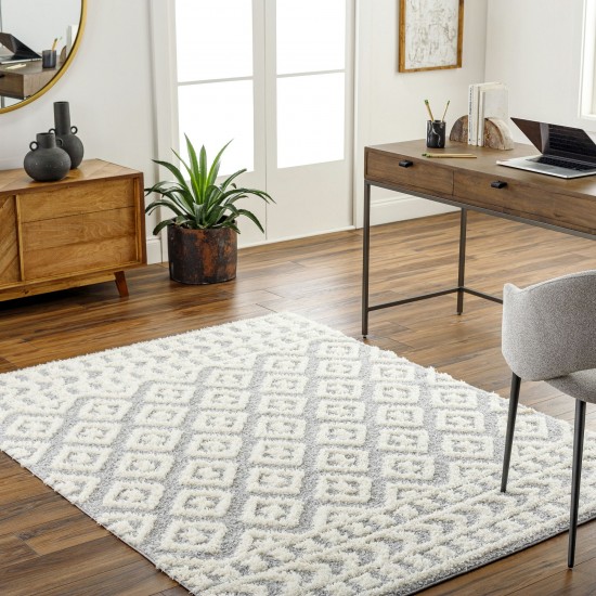 Surya Rodos Rdo-2338 Rug 6'7" X 9'