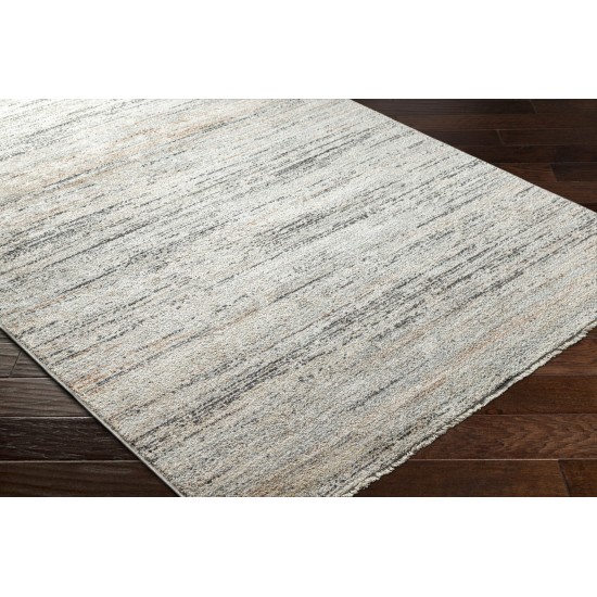 Surya Rojin Roj-2300 Rug 2'6" X 7'3"