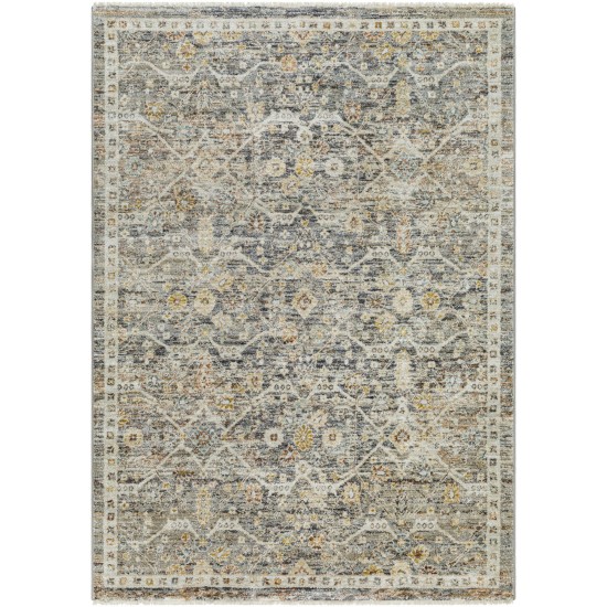 Surya Rojin Roj-2301 Rug 2'6" X 7'3"