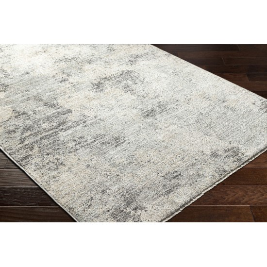 Surya Rojin Roj-2302 Rug 5'3" X 7'7"