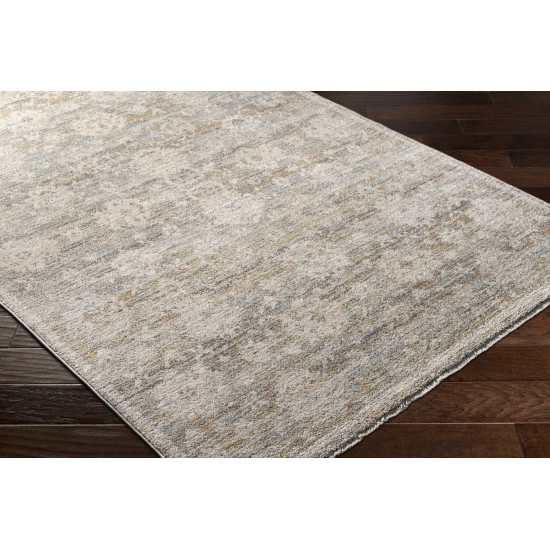 Surya Rojin Roj-2304 Rug 2'6" X 7'3"