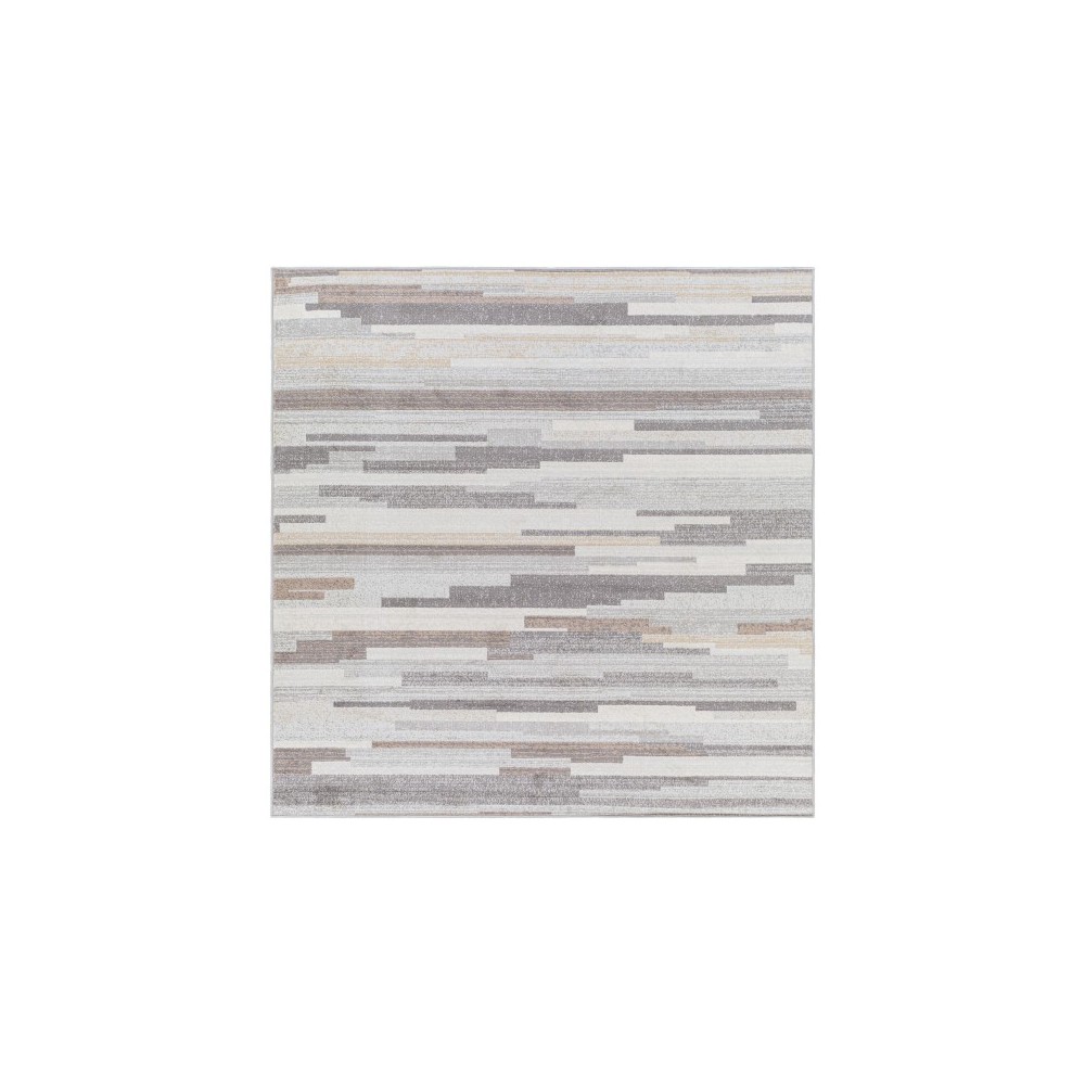 Surya Roma Rom-2302 Gray Rug 7'10" Square