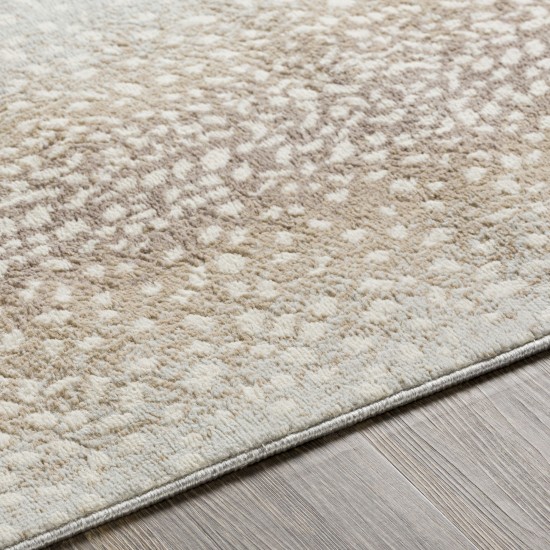 Surya Roma Tan Rug 2' X 3'