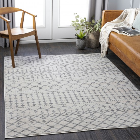 Surya Roma Rom-2376 Light Slate Rug 5'3" X 7'1"