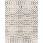 Surya Roma Rom-2376 Light Slate Rug 7'10" X 10'