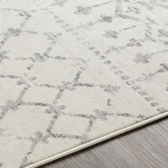 Surya Roma Rom-2376 Light Slate Rug 7'10" X 10'