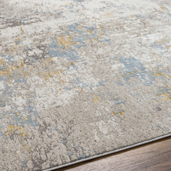 Surya Roswell Rsw-2300 Rug 6'7" X 9'