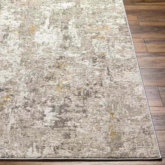 Surya Roswell Rsw-2301 Rug 7'10" X 10'