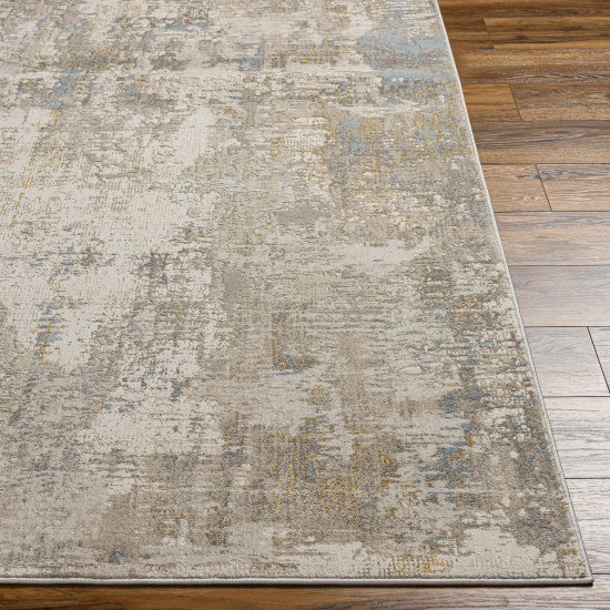 Surya Roswell Rsw-2302 Rug 5'3" X 7'