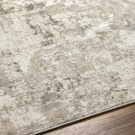 Surya Roswell Rsw-2303 Rug 9'2" X 12'