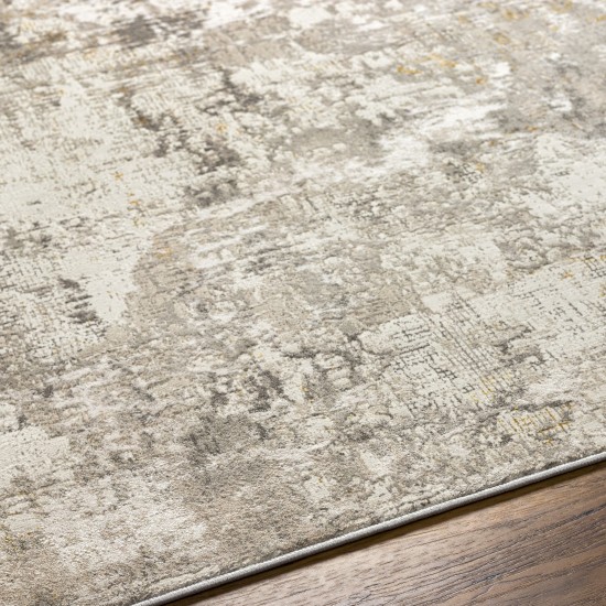 Surya Roswell Rsw-2303 Rug 9'2" X 12'