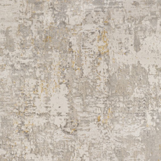 Surya Roswell Rsw-2303 Rug 9'2" X 12'