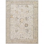 Surya Roswell Rsw-2308 Rug 9'2" X 12'