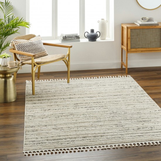 Surya Rudy Rdy-2300 Rug 2' X 3'