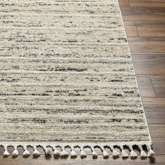 Surya Rudy Rdy-2300 Rug 2' X 3'