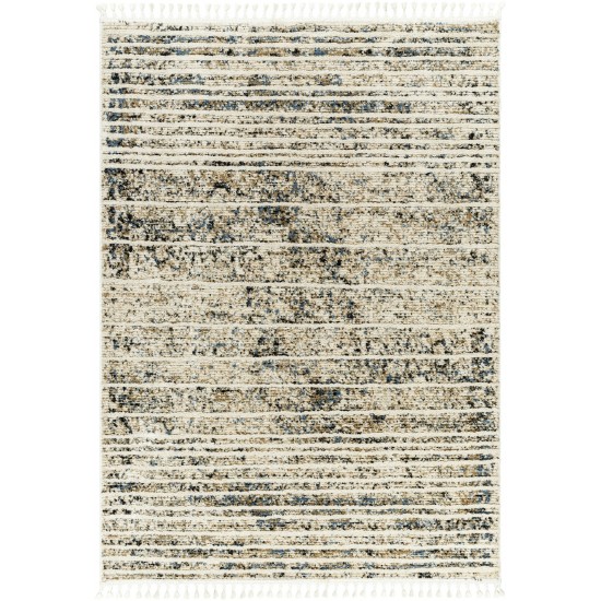 Surya Rudy Rdy-2301 Rug 2' X 3'