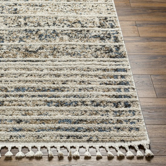 Surya Rudy Rdy-2301 Rug 7'10" X 10'