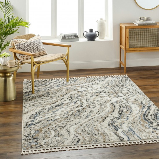 Surya Rudy Rdy-2302 Rug 2' X 3'