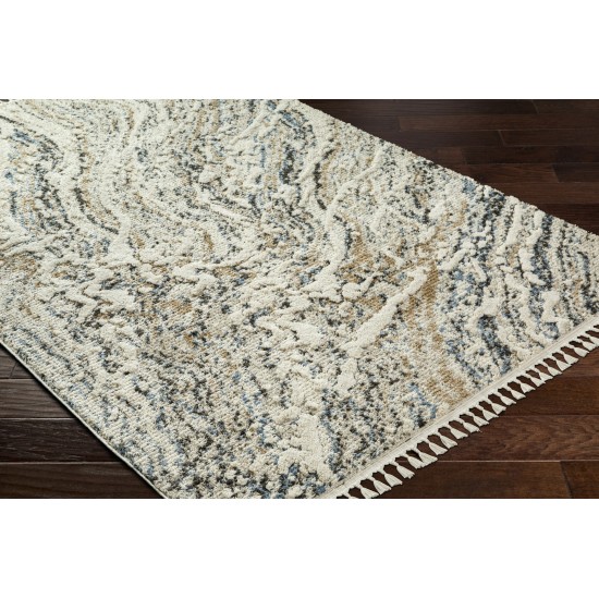 Surya Rudy Rdy-2302 Rug 6'7" X 9'