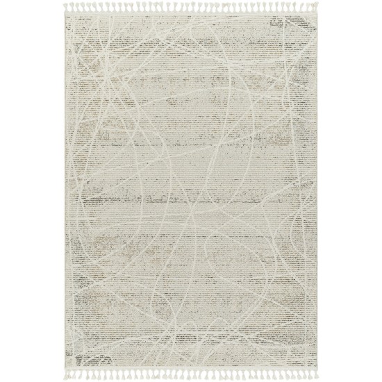 Surya Rudy Rdy-2303 Rug 2' X 3'