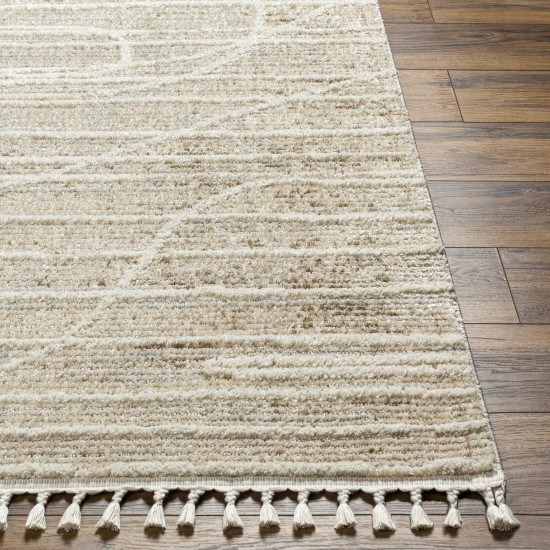 Surya Rudy Rdy-2304 Rug 5'3" X 7'