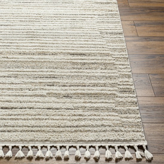 Surya Rudy Rdy-2305 Rug 9'2" X 12'