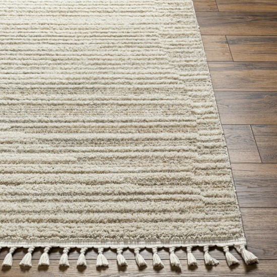 Surya Rudy Rdy-2306 Rug 6'7" X 9'