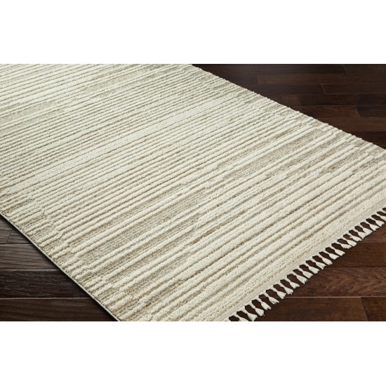 Surya Rudy Rdy-2306 Rug 7'10" X 10'