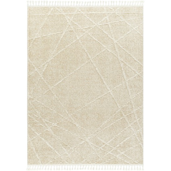 Surya Rudy Rdy-2307 Rug 2' X 3'