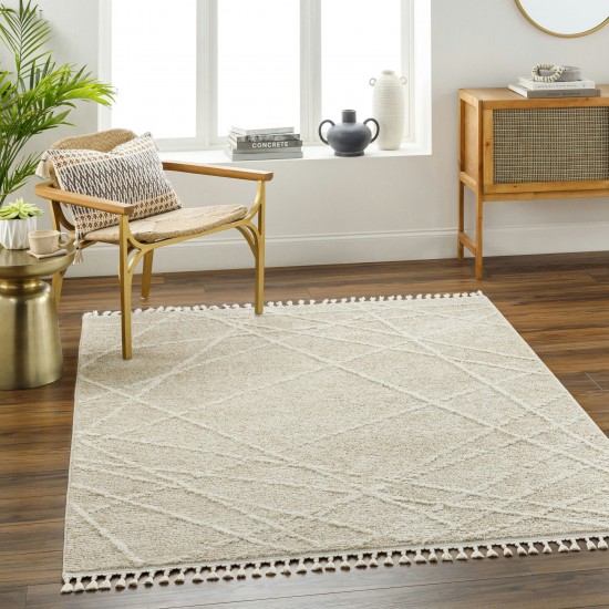 Surya Rudy Rdy-2307 Rug 2' X 3'