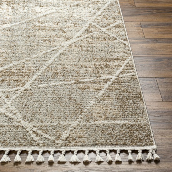 Surya Rudy Rdy-2308 Rug 5'3" X 7'