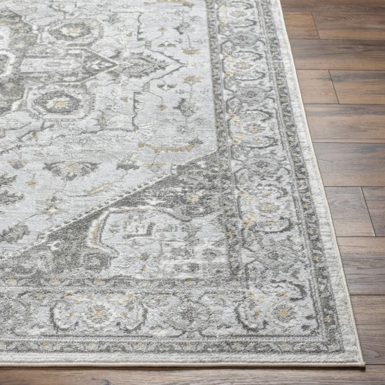 Surya San Francisco Sfo-2327 Rug 9'2" X 12'