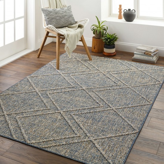 Surya Sarasota Sso-2302 Blue Rug 2' X 3'9"