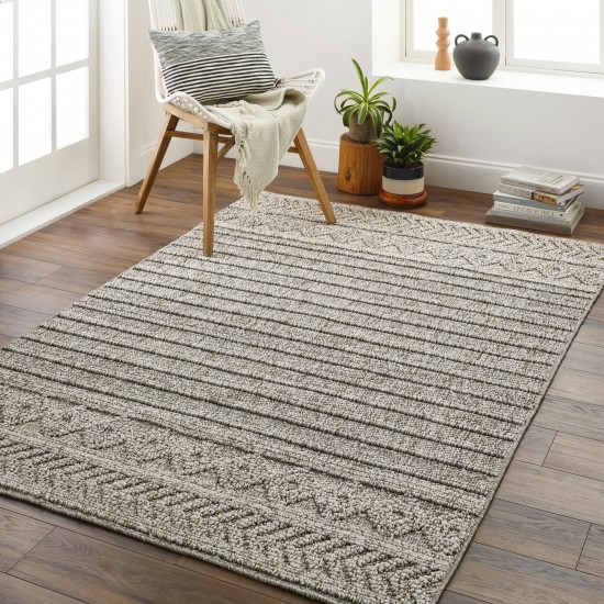 Surya Sarasota Sso-2303 Tan Rug 2' X 3'9"