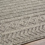 Surya Sarasota Sso-2303 Tan Rug 2' X 3'9"