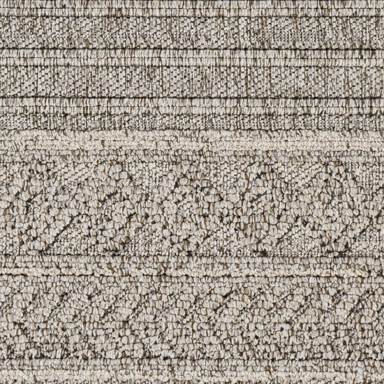 Surya Sarasota Sso-2303 Tan Rug 2' X 3'9"