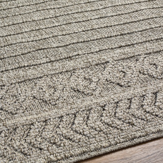 Surya Sarasota Sso-2303 Tan Rug 2'5" X 7'3"