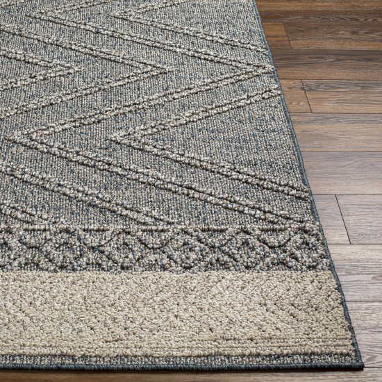 Surya Sarasota Sso-2305 Blue Rug 2' X 3'9"