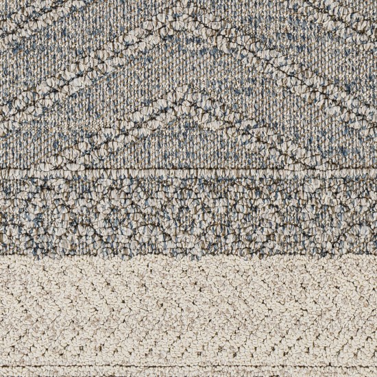 Surya Sarasota Sso-2305 Blue Rug 2' X 3'9"