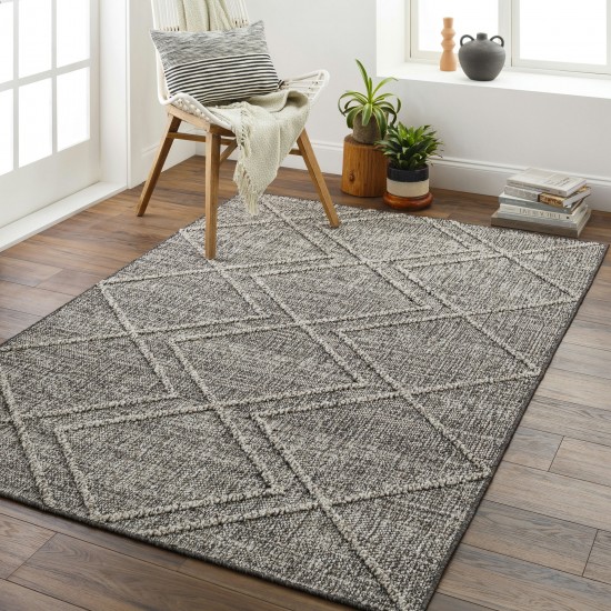 Surya Sarasota Sso-2306 Tan Rug 2' X 3'9"