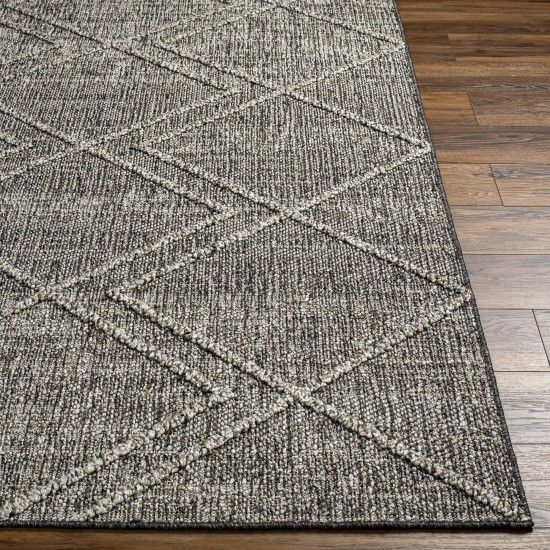 Surya Sarasota Sso-2306 Tan Rug 7'5" X 10'