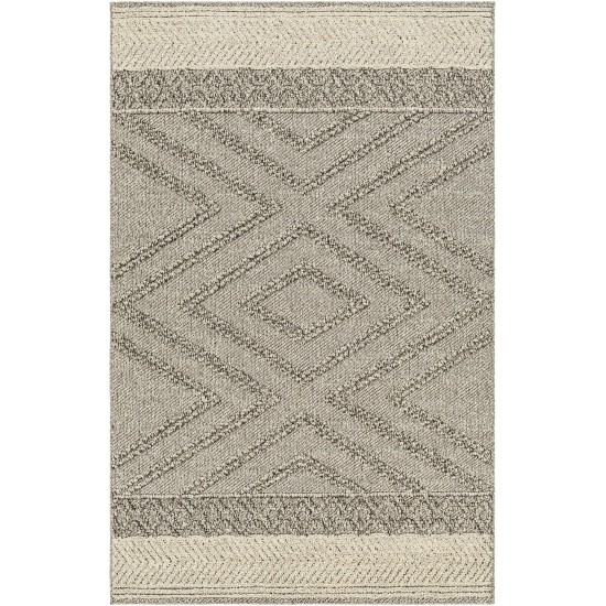 Surya Sarasota Rug 2' X 3'9"